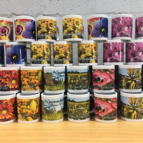 WhatsApp Image 2022-06-28 at 12.30.31 PM (1)